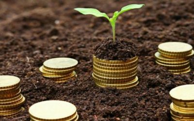 Inclusion financière en cacaoculture